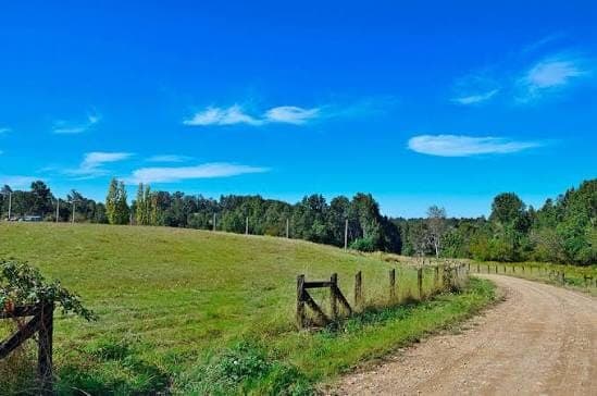 Parcelas — Bosque, ribera y acceso a camino.