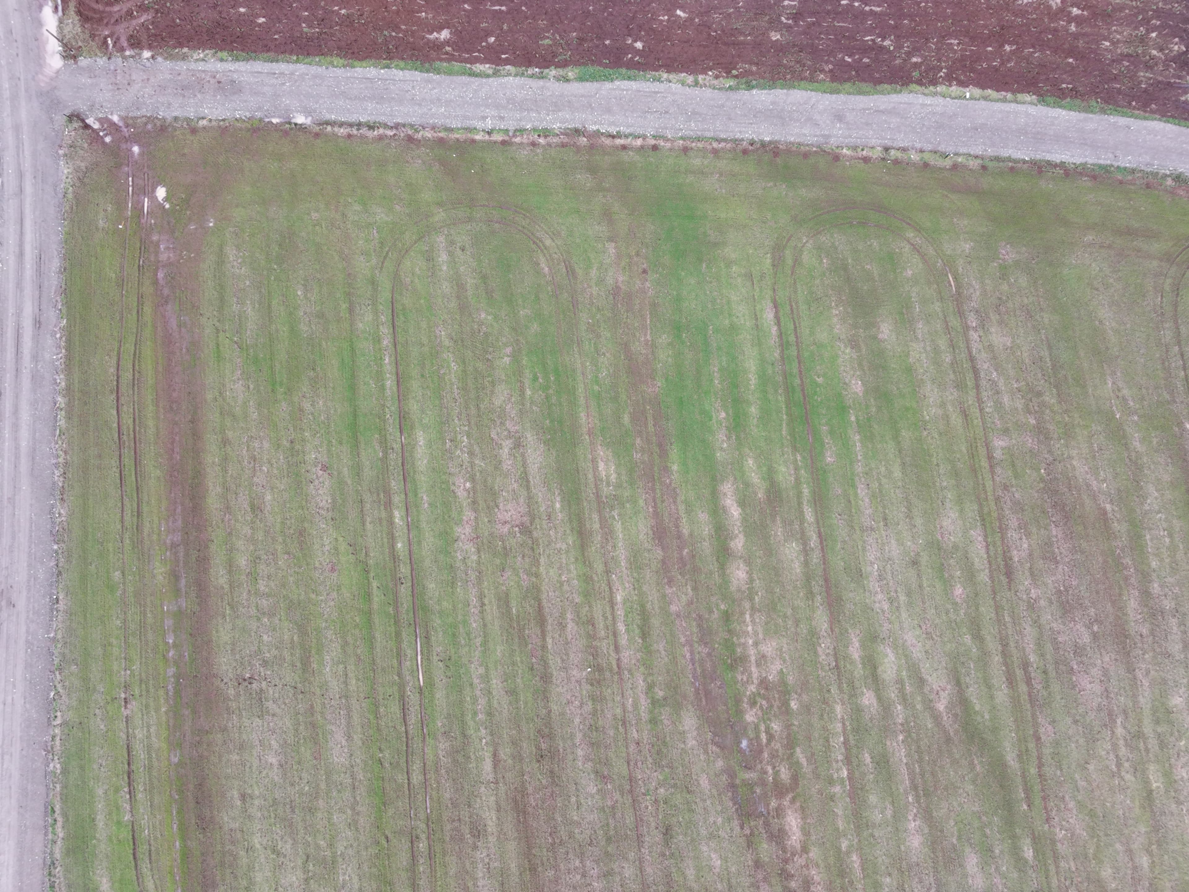 Parcela B32 Cultivable