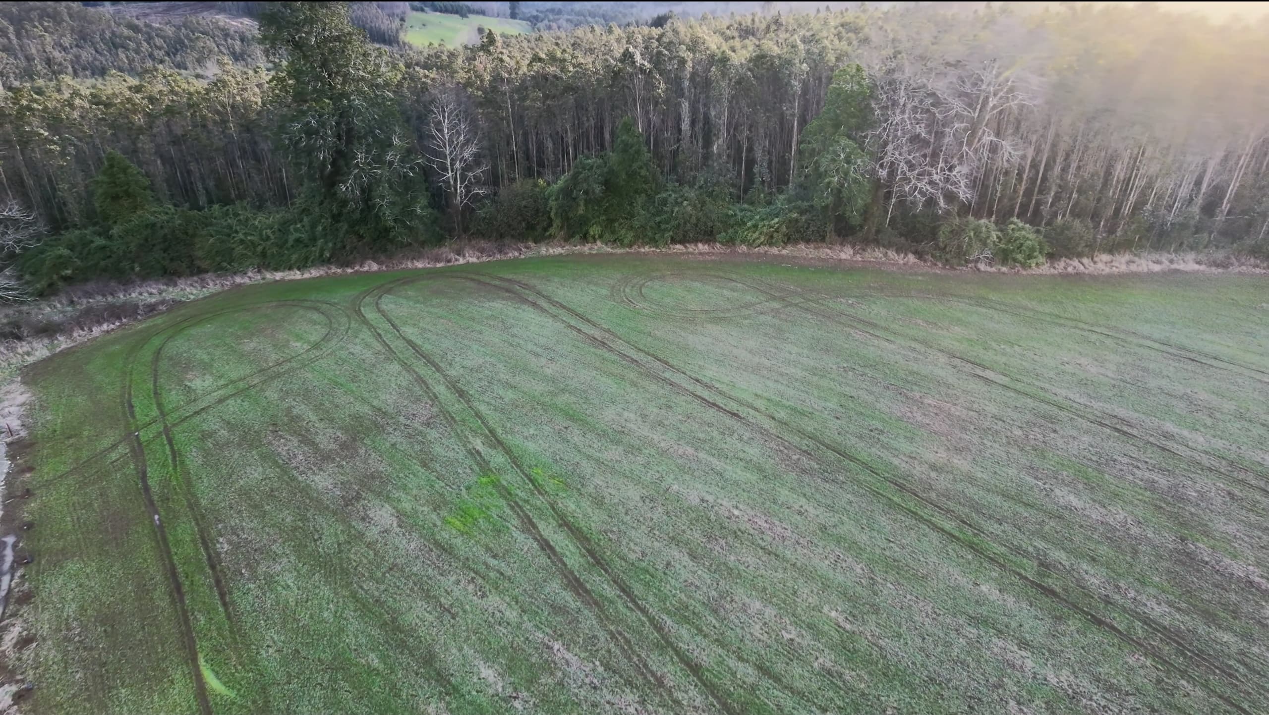 Parcela B43 Cultivable
