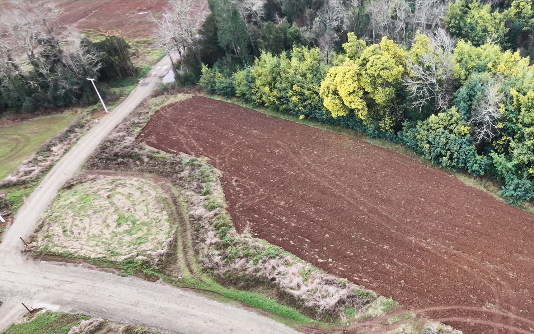 Parcela B59 Bosque