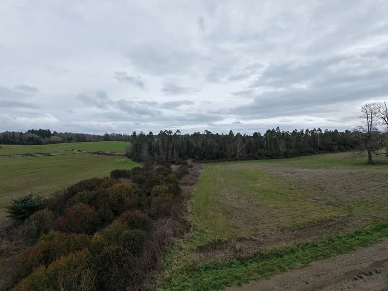 Parcela A28 Bosque