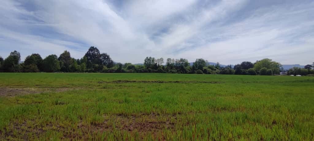 CAMPO PLANO 62 HECTÁREAS PICHIRROPULLI