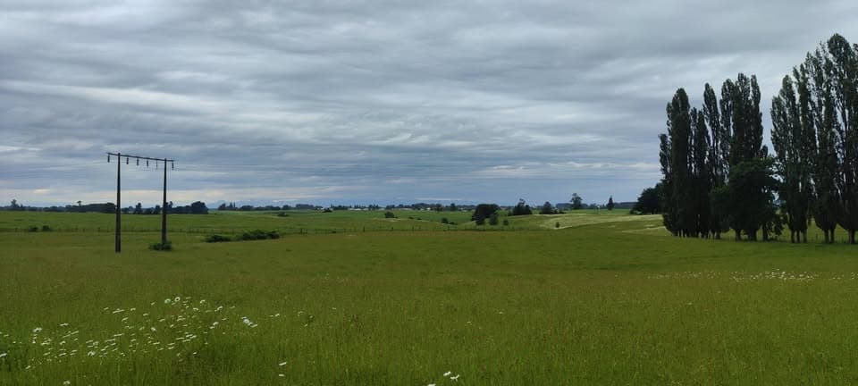 Hermoso Campo de 13 hectáreas San Pablo Osorno