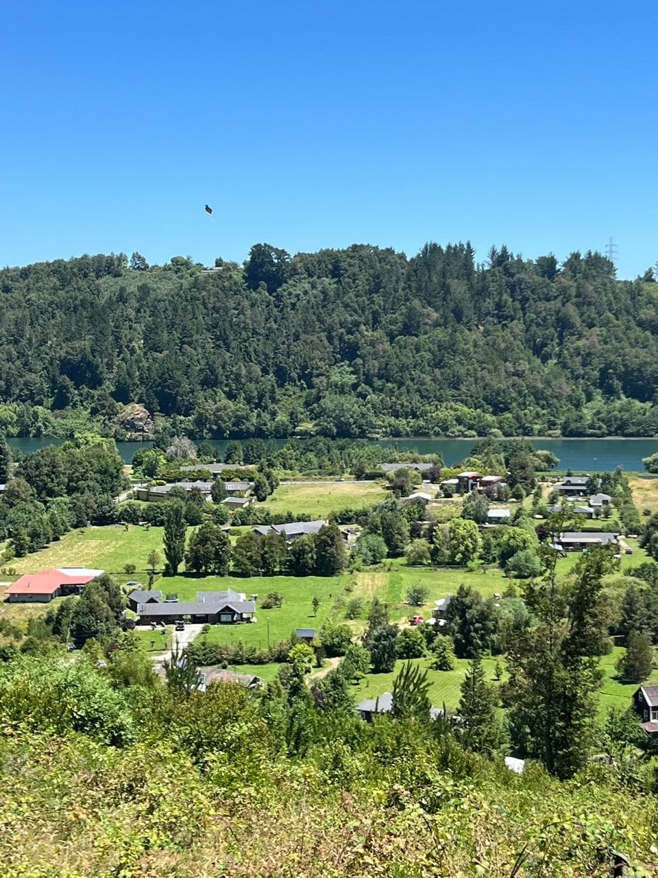 PARCELA DE 5050M2 QUITACALZON, VALDIVIA